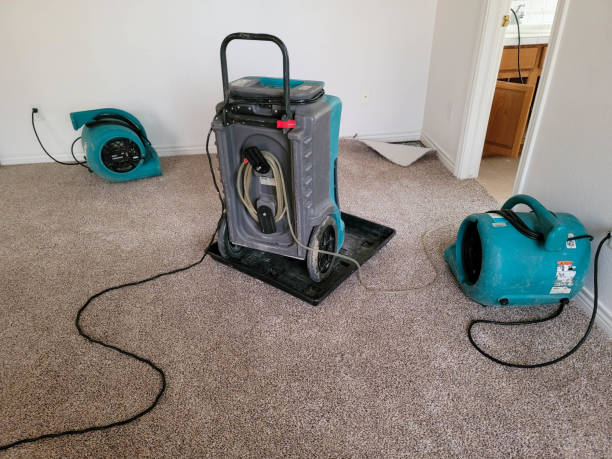 Best Carpet water damage restoration  in White Plains, NC