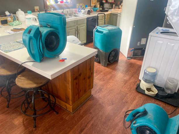 Best Local water damage restoration  in White Plains, NC