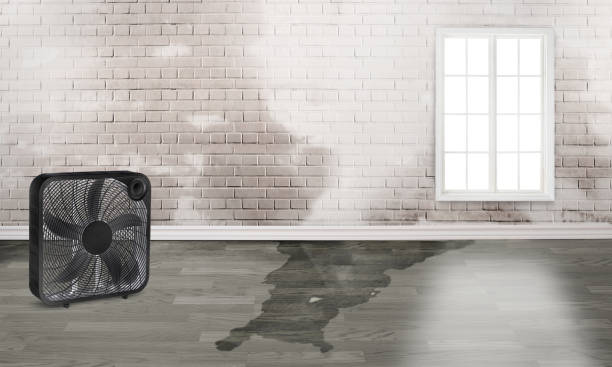 Best Emergency water damage restoration  in White Plains, NC
