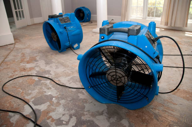 Best Sewage cleanup and water damage restoration  in White Plains, NC