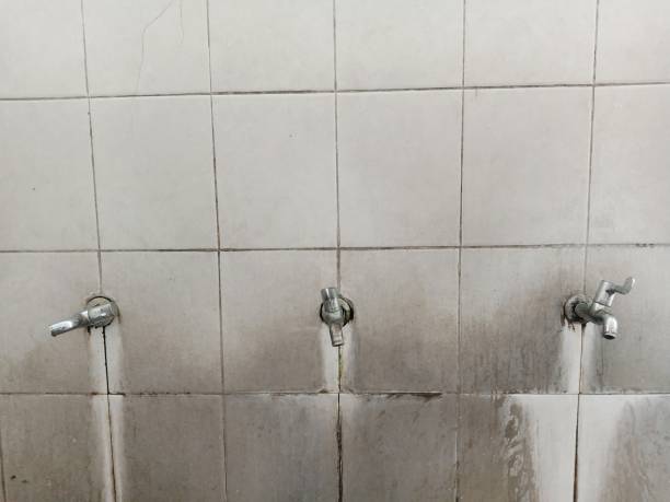 Best 24-hour water damage restoration  in White Plains, NC