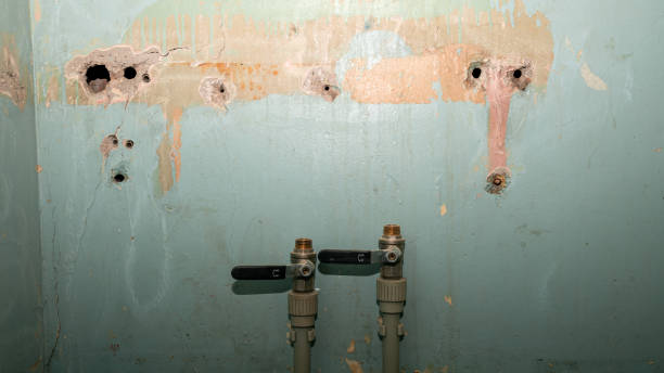 Best Fire Damage Restoration  in White Plains, NC