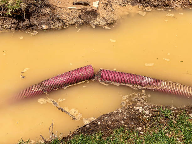 Best Flood restoration services  in White Plains, NC