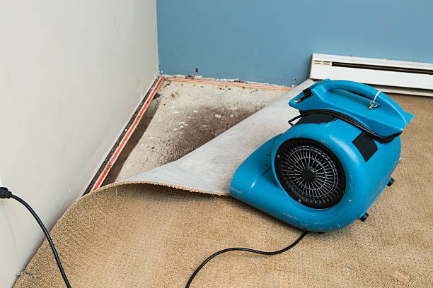 White Plains, NC Water damage restoration Company